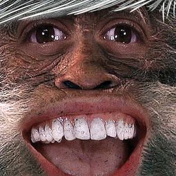 Magic Sasquatch avatar