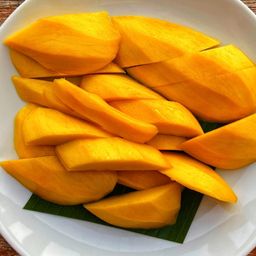 food4life avatar