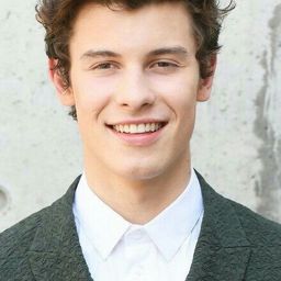 Shawn Mendes avatar