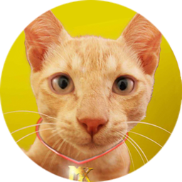 MandarX avatar