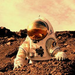 Mars Bar avatar