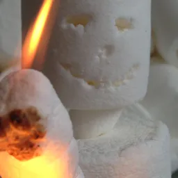 MarshMellow avatar