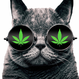 Maryjane avatar