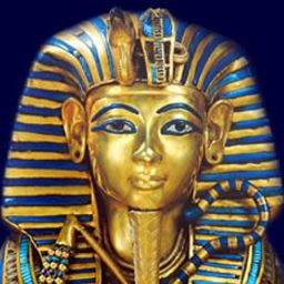 masrawy avatar