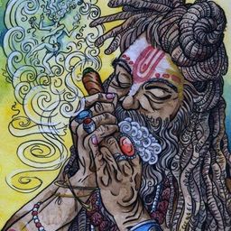 masterroshi avatar