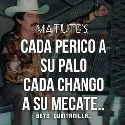 matute avatar