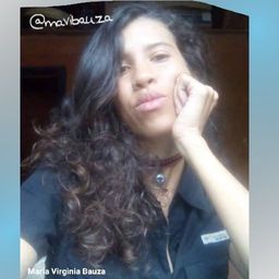 Maria Virginia Bauza avatar