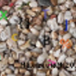 Max_Louis avatar