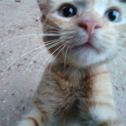 maykxz avatar