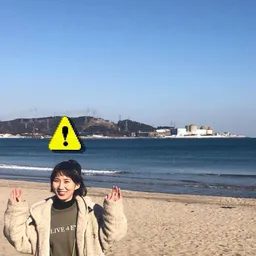 메추리알 avatar