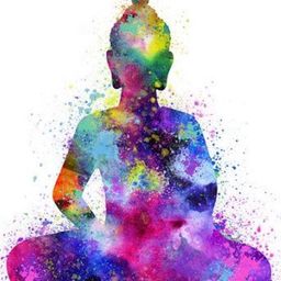 我来自哪颗星 avatar