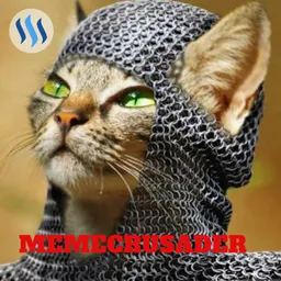 Meme Crusader avatar