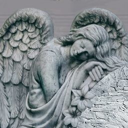 memorialforest avatar