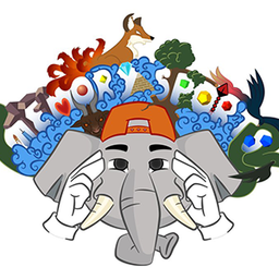 Memory Sports avatar