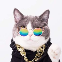 MeowZy avatar