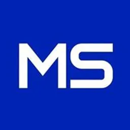  Metizsoft