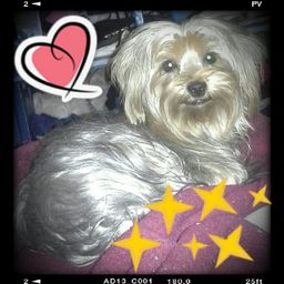 miamagy avatar