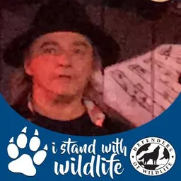 Michael Weddle avatar