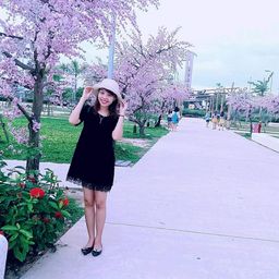 Mi Dung avatar
