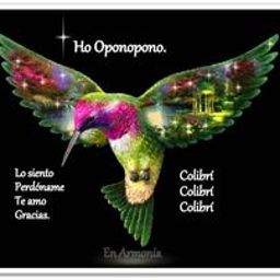 Cristina Nederr avatar