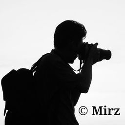 MIRZ avatar