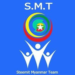 We Love SMT avatar