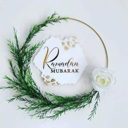 Mohammad Faisal avatar