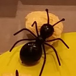 Mondwelle avatar