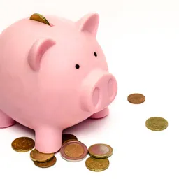 moneysig