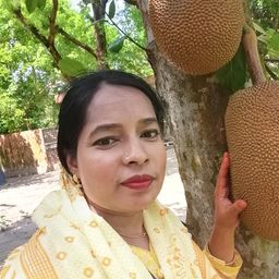 Moni Akter avatar