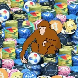 Monkyy avatar