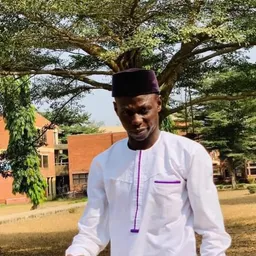 Abdulsalam Monsuru Akintunde  avatar