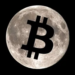 Moon Trading avatar