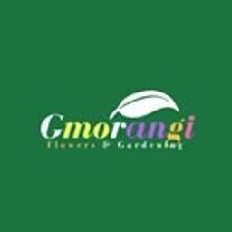 Morangi avatar