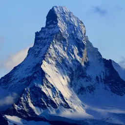 MountainWasHere avatar