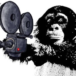moviemonkey avatar