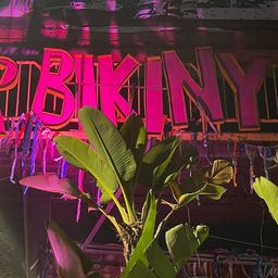             Señor bikiny    avatar