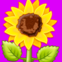 msocarras avatar