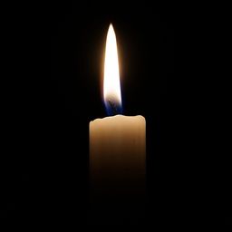muallimler avatar