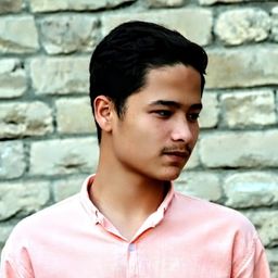 Mudassar Hussain