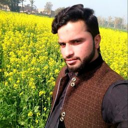 M Waseem  avatar