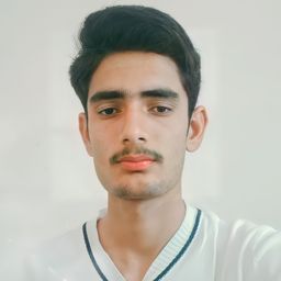 mujahidbhatti avatar