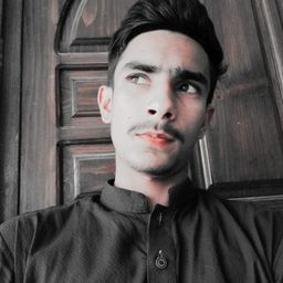 mujtabarabbani avatar