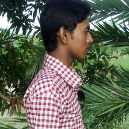 Munir avatar
