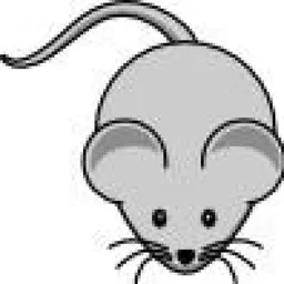 mys avatar