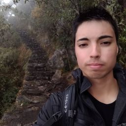 n8borealis avatar