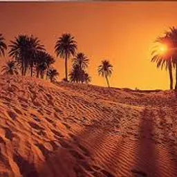 Algeria desert avatar