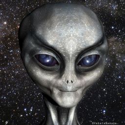 Nasgen avatar