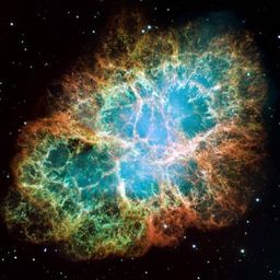 The Nebula Bot avatar