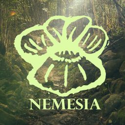 Nemesia avatar
